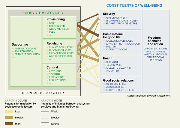 Linkages between ecosystem services and human well being